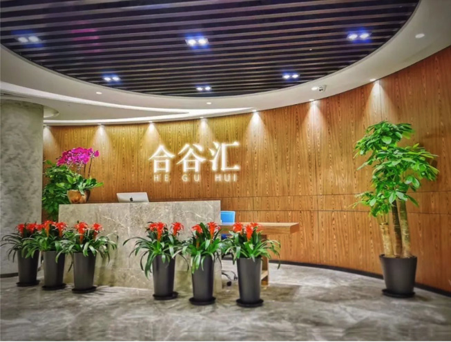 拓展营收提质效-上海合谷汇共享办公 (2).jpg 拓展营收提质效-上海合谷汇共享办公 (2).jpg
